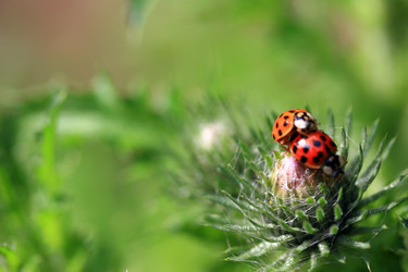 Similar image 7976563