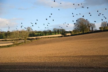 Similar image 7976564