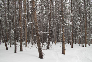 Similar image 7976568