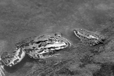 Similar image 7976576