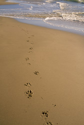 Similar image 7976583