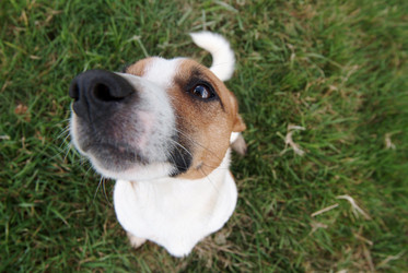 Similar image 7976594