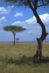 Similar image 7976609