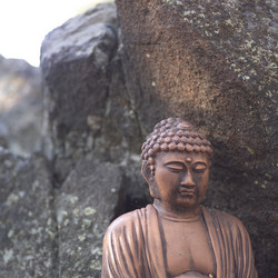 Similar image 7976619