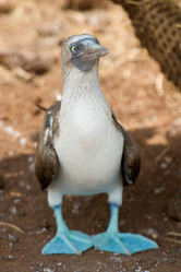 Similar image 7976628