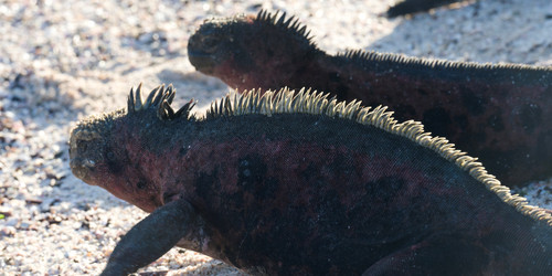 Similar image 7976634