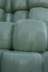 Similar image 7976645