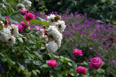 Similar image 7976646