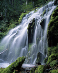 Similar image 7976647