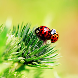 Similar image 7976649