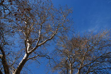 Similar image 7976657