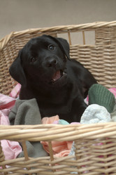 Similar image 7976675