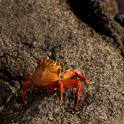 Similar image 7976680