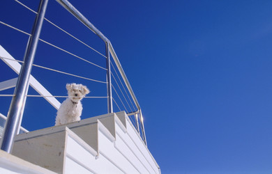 Similar image 7976685