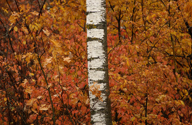 Similar image 7976691