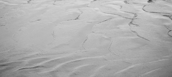 Similar image 7976696