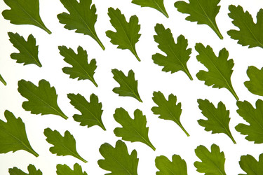 Similar image 7976699