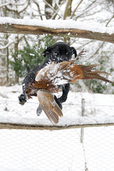 Similar image 7976701