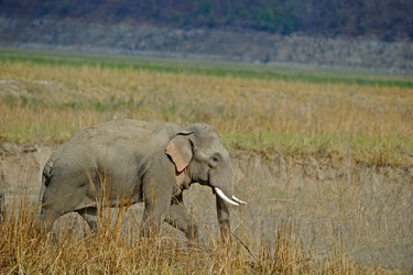 Similar image 7976714