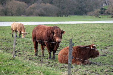 Similar image 7976718