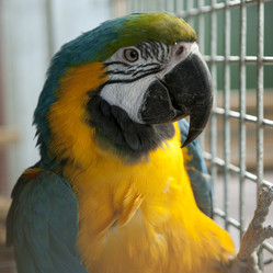 Similar image 7976726