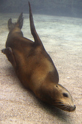 Similar image 7976732