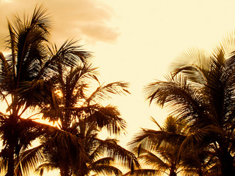 Similar image 7976736