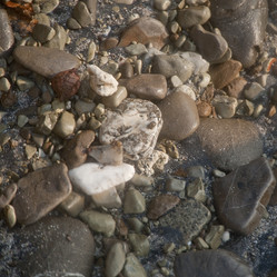 Similar image 7976737