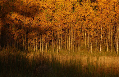 Similar image 7976745