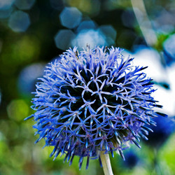 Similar image 7976768