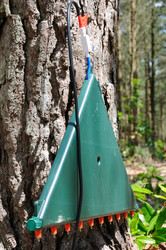 Similar image 7976770