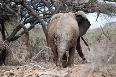 Similar image 7976784