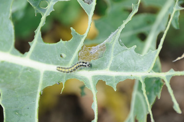 Similar image 7976786