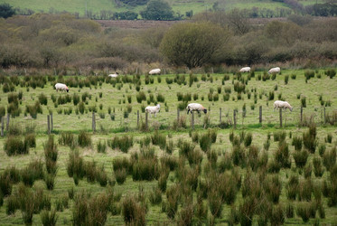 Similar image 7976797