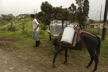 Similar image 7976798