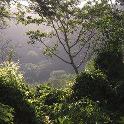 Similar image 7976799