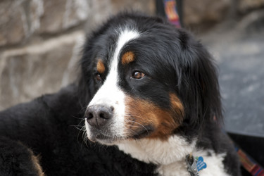 Similar image 7976801