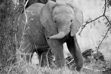 Similar image 7976807