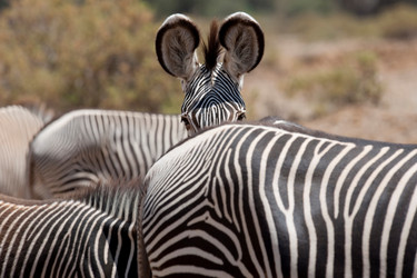 Similar image 7976808