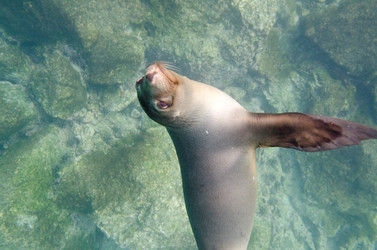 Similar image 7976816