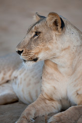 Similar image 7976826