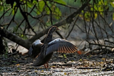 Similar image 7976830