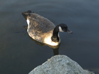 Similar image 7976834