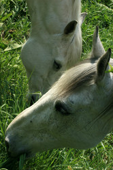 Similar image 7976837