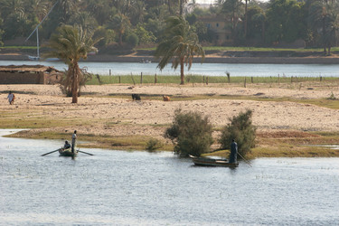 Similar image 7976842