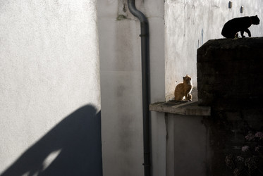 Similar image 7976844