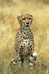 Similar image 7976849