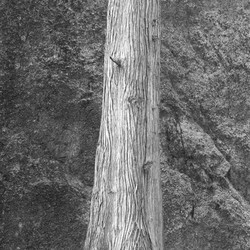 Similar image 7976851