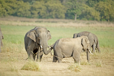 Similar image 7976857