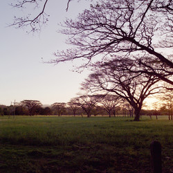 Similar image 7976859